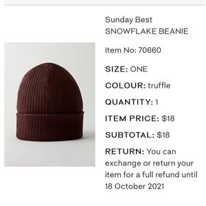 Aritzia—Sunday Best—snowflake beanie